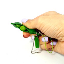 Soybean fidget keychain